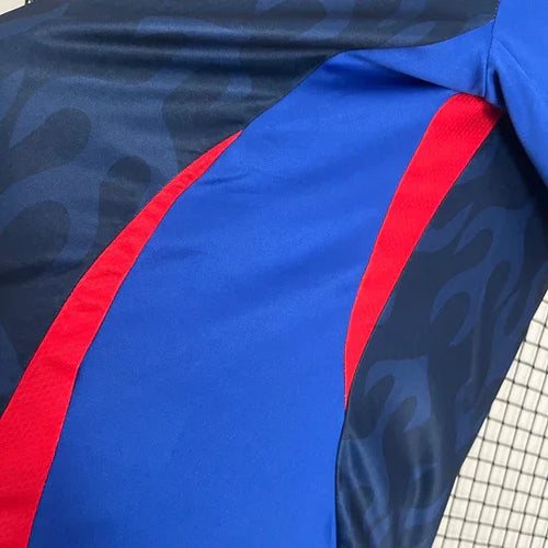 Japan Heimtrikot 2024/2025