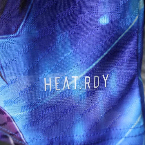 Japan Special/Sondertrikot 2025/2026