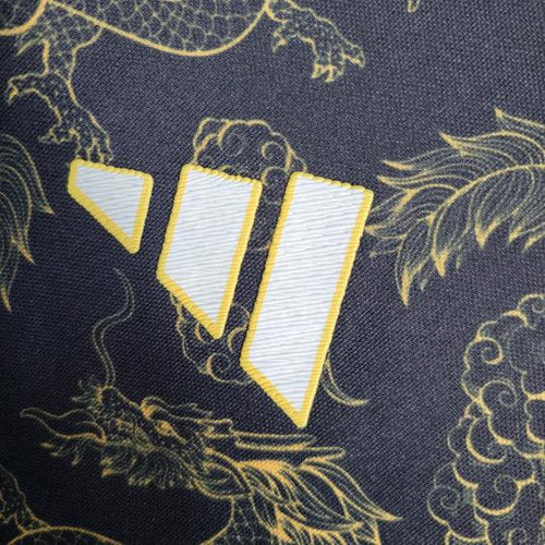 Japan Special/Sondertrikot Dragon 2023/2024