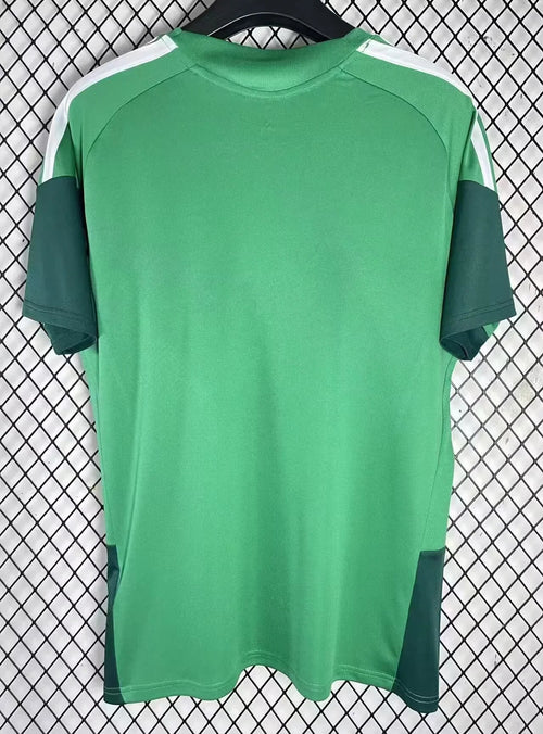 Algerien Special/Sondertrikot 2026