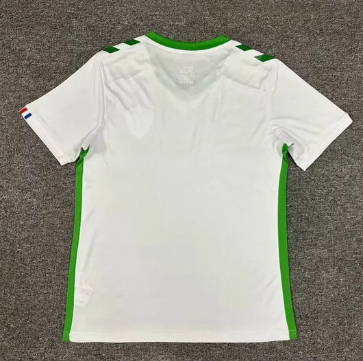AS Saint-Étienne Auswärtstrikot 2024/2025