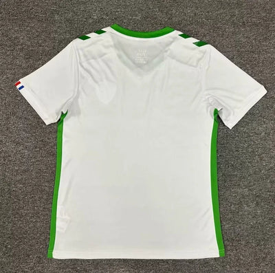 AS Saint-Étienne Auswärtstrikot 2024/2025