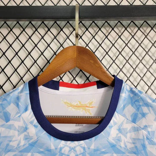 Vintage/Retrotrikot Japan 2016/2017