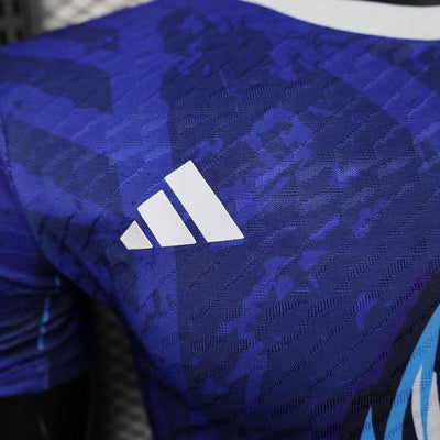 Japan Special/Sondertrikot 2025/2026