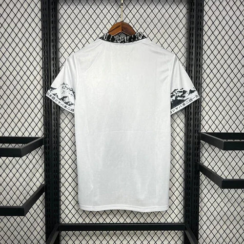 Japan Special/Sondertrikot Pain Edition 2024