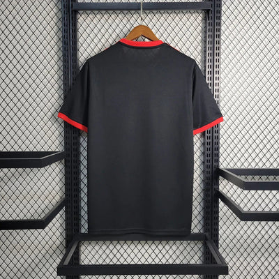 Spezialtrikot Japan 2023/2024