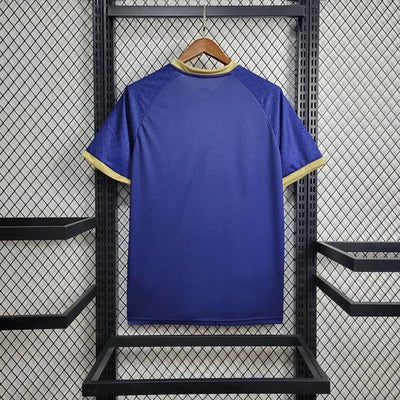 Japan Special/Sondertrikot 2023/2024