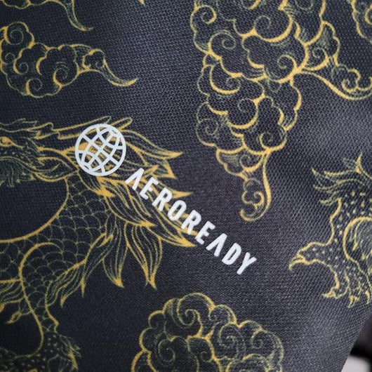 Japan Special/Sondertrikot Dragon 2023/2024