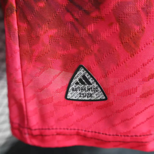 Japan Special/Sondertrikot 2025/2026